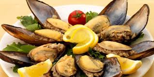 Midye Üretim Tesisi